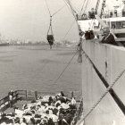 Callao, transport of the bulls, 1965
